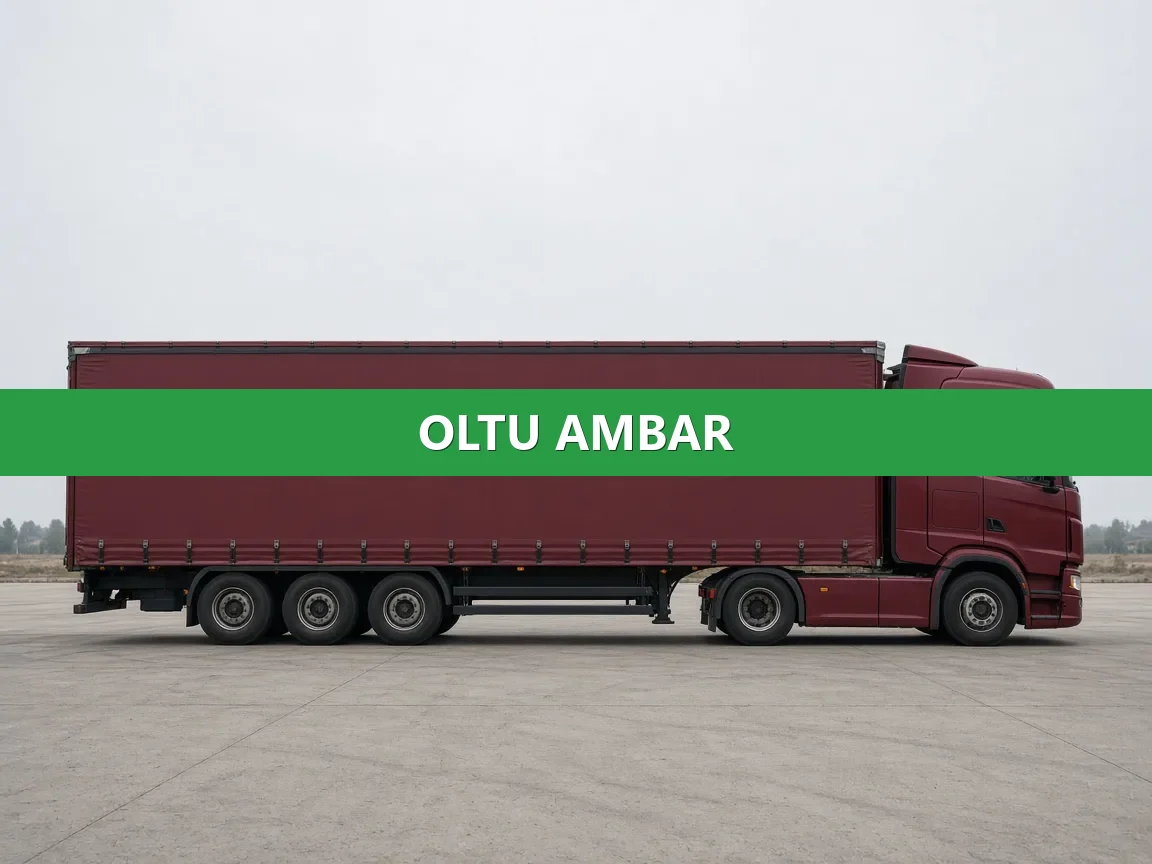 Oltu Ambar